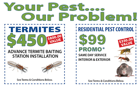 Pest Control Promos